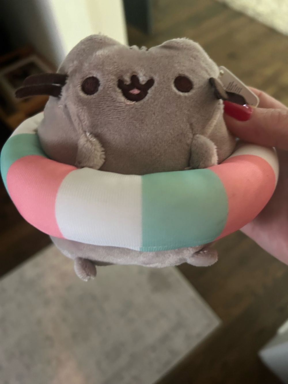 Pusheen Gray Plush with Pastel Striped Swim Ring